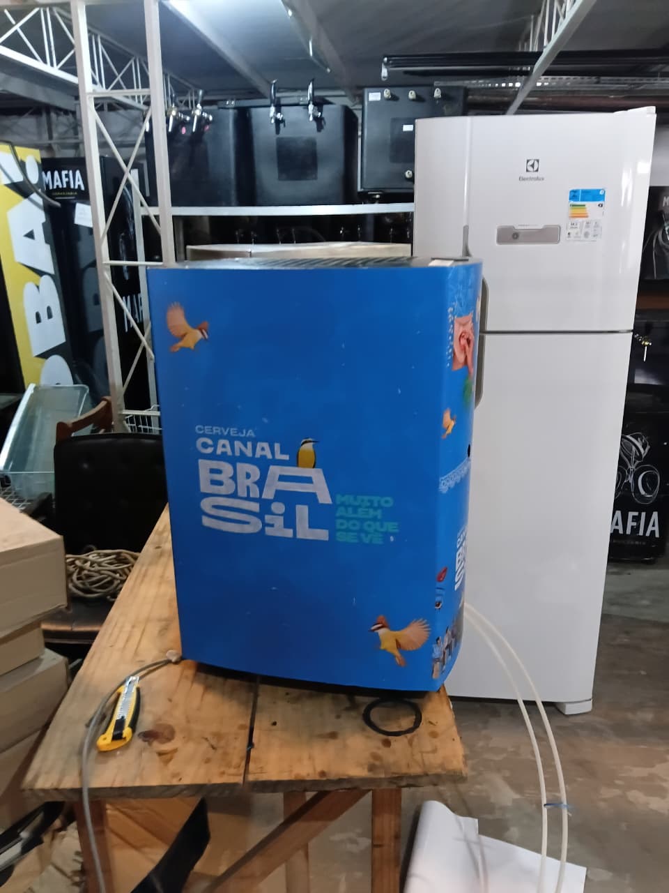 Envelopamento de freezer Cerveja Canal Brasil — ativação de marca